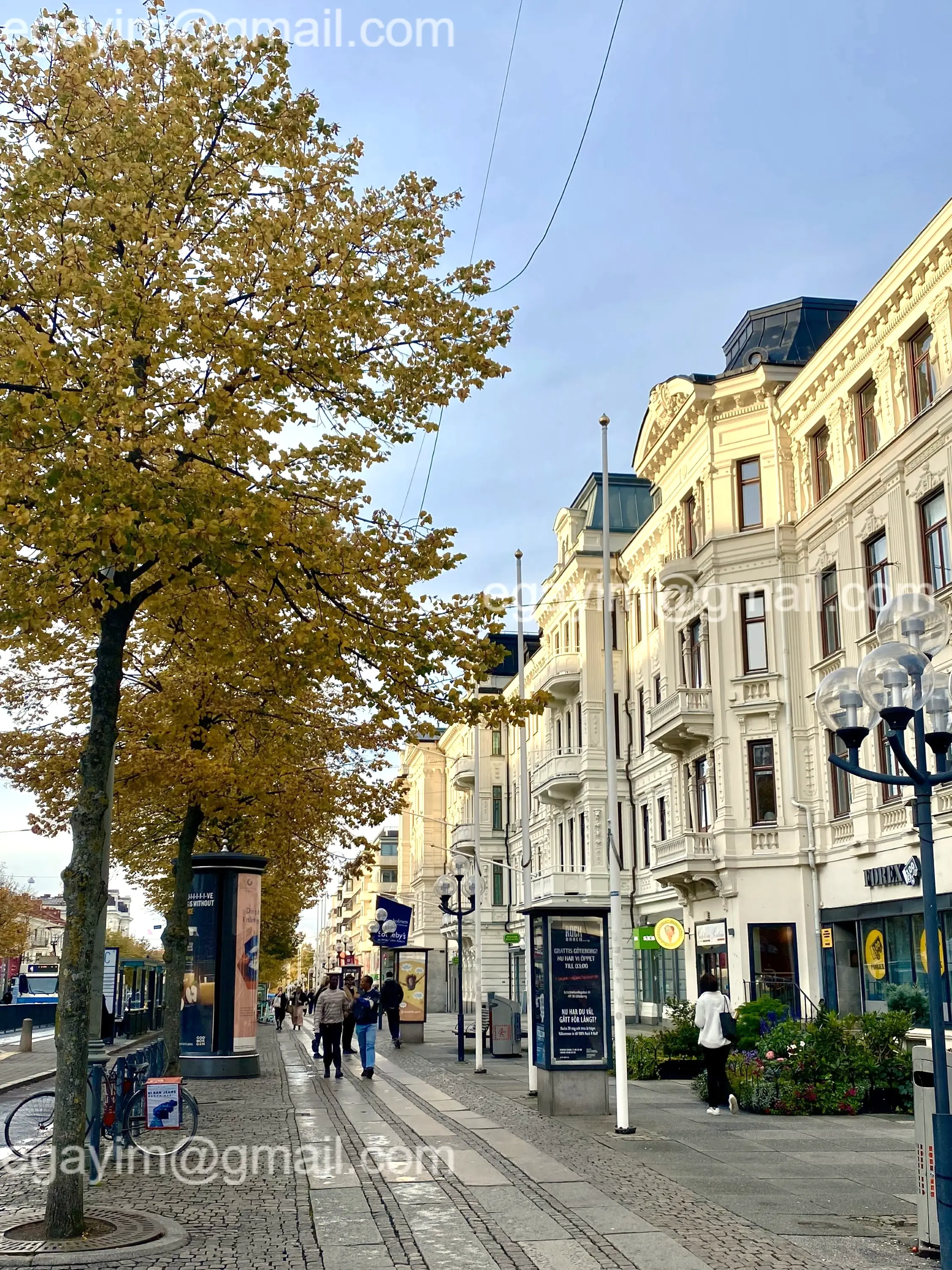 Kungsportsavenyn