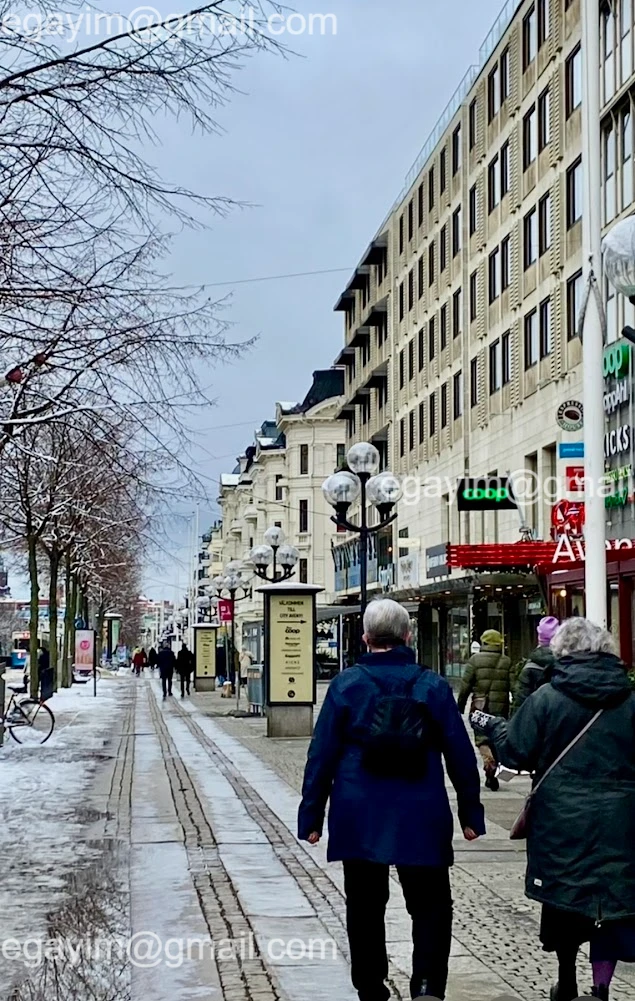 Kungsportsavenyn
